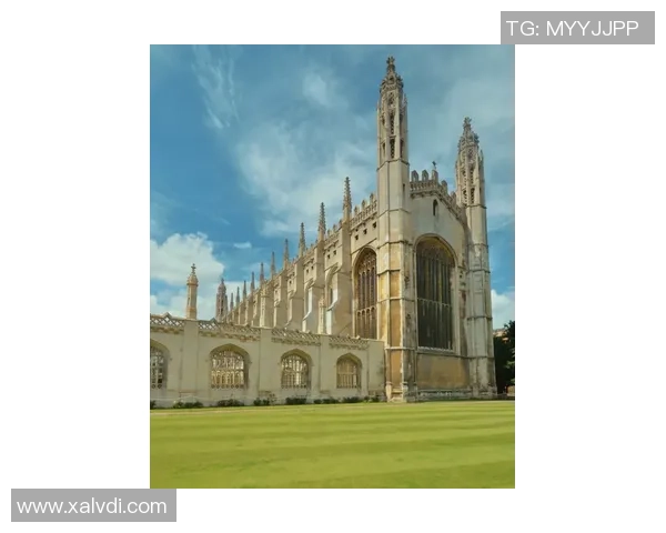 探索布莱克尼的魅力与历史深度，感受这座城市的独特韵味与文化底蕴